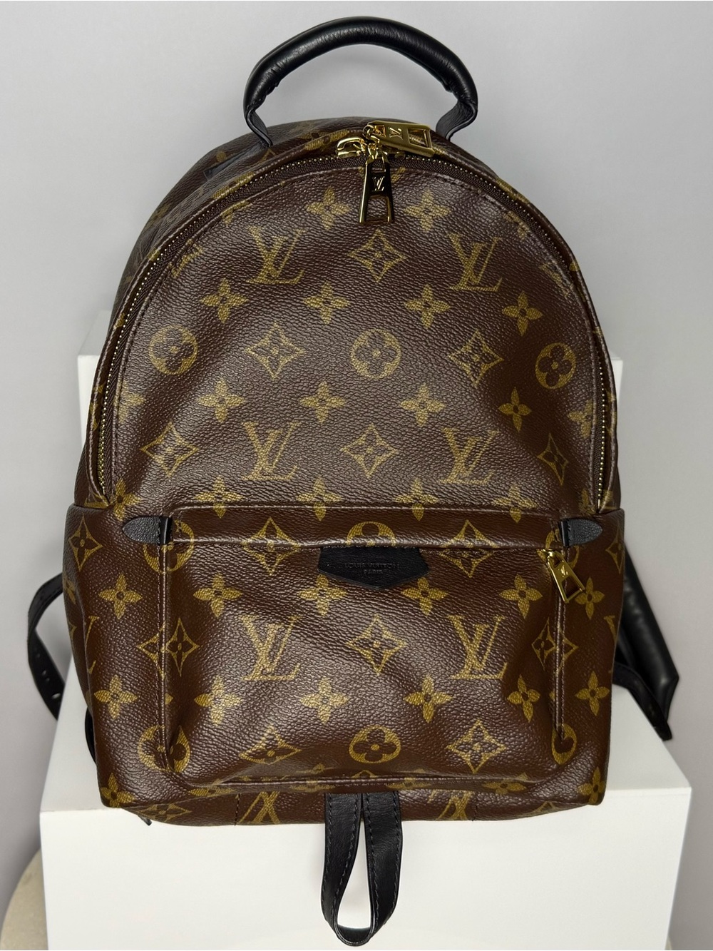 Louis Vuitton Palm Springs
Backpack MM